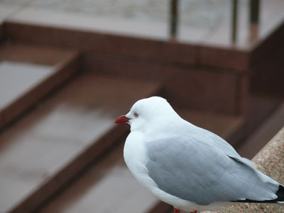 P1020002